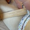 Louis Vuitton Dog Leash MM Multicolor LV X TM