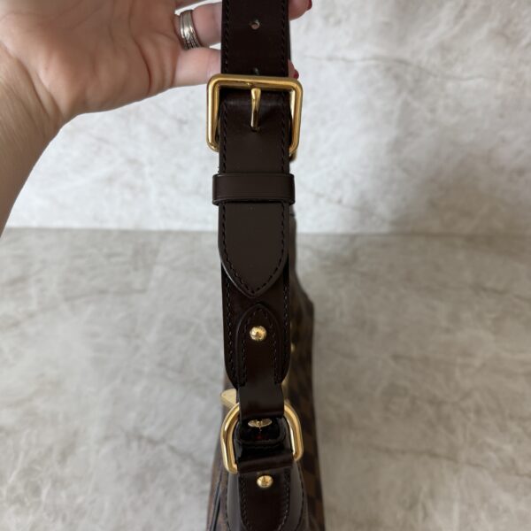 Louis Vuitton Damier Canvas Thames PM Bag