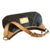 Louis Vuitton Monogram Thames GM
