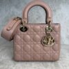Christian Dior Lambskin Cannage Small My ABCDior Lady Dior