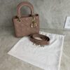 Christian Dior Lambskin Cannage Small My ABCDior Lady Dior