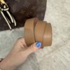 Louis Vuitton Khaki Monogram Canvas Tuileries Besace Bag