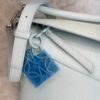 Loewe Calfskin Small Puzzle Edge Bag Frozen Silver Hardware and Loewe Anagram Charm