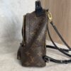 Louis Vuitton Monogram Palm Springs Mini