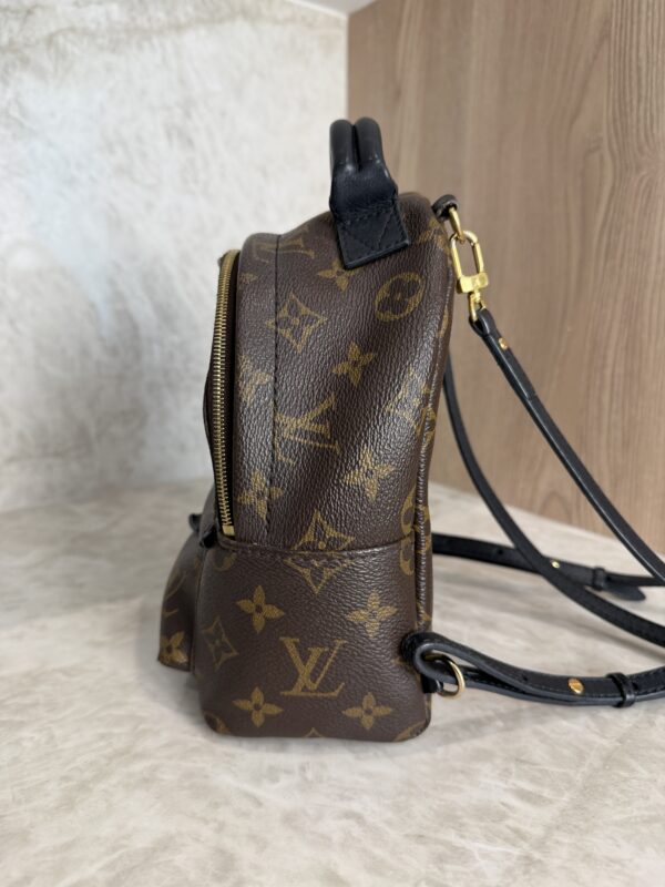 Louis Vuitton Monogram Palm Springs Mini