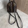 Louis Vuitton Monogram Palm Springs Mini