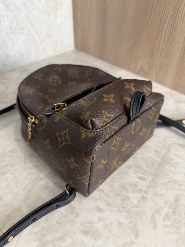 Louis Vuitton Monogram Palm Springs Mini