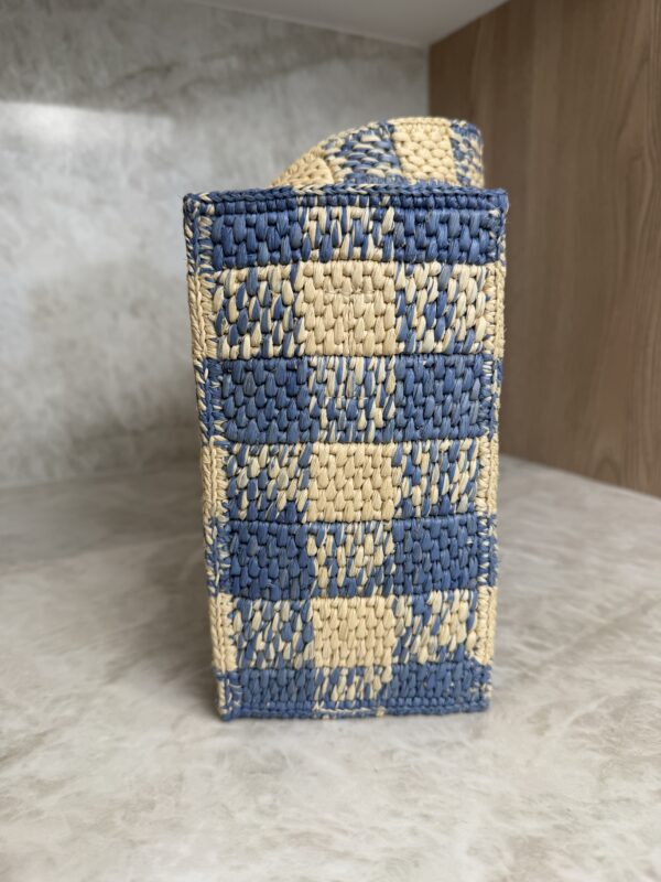 LOEWE Font Gingham Small Raffia Tote Bag
