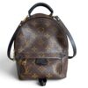 Louis Vuitton Monogram Palm Springs Mini