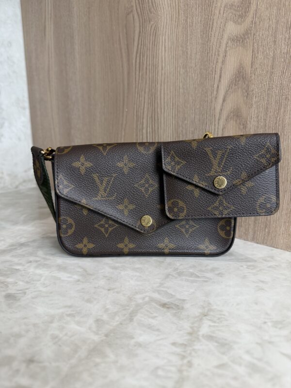 Louis Vuitton Felicie Strap Go Handbag Monogram Canvas