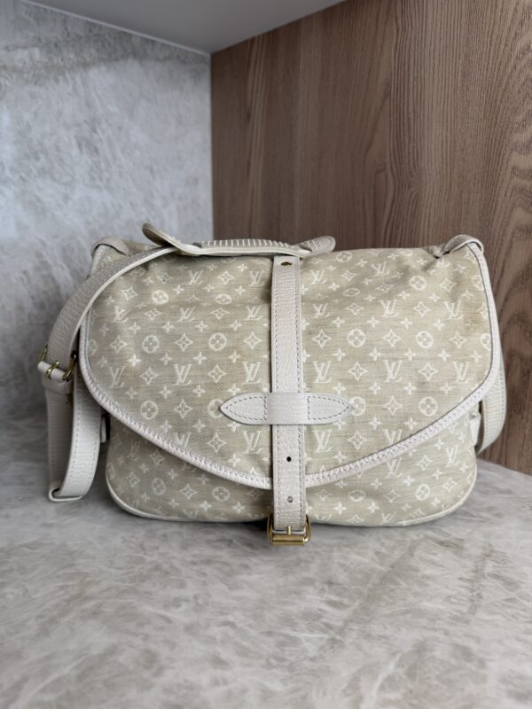 Louis Vuitton Monogram Mini Lin