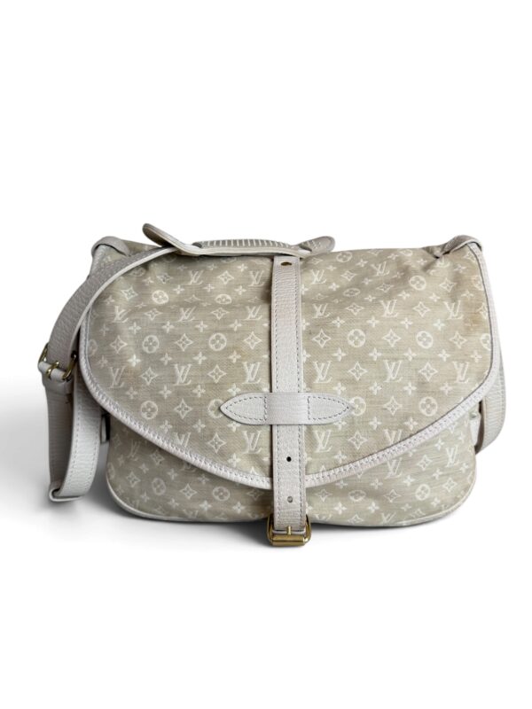 Louis Vuitton Monogram Mini Lin
