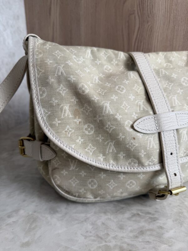 Louis Vuitton Monogram Mini Lin