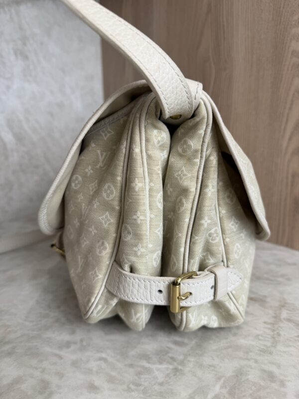 Louis Vuitton Monogram Mini Lin